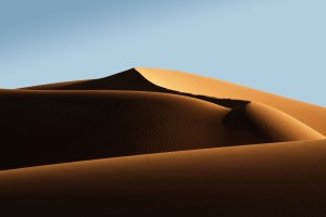 بهتازگی شرکتی تحت عنوان آدیش جنوبی اقدام به برداشت ماسه بادی از تپههای ماسهای جنوب شهر بردخون کرده است